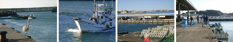 朝の御座港の風景